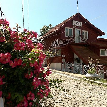 Pensiunea Floare De Colt Sinaia Exteriér fotografie