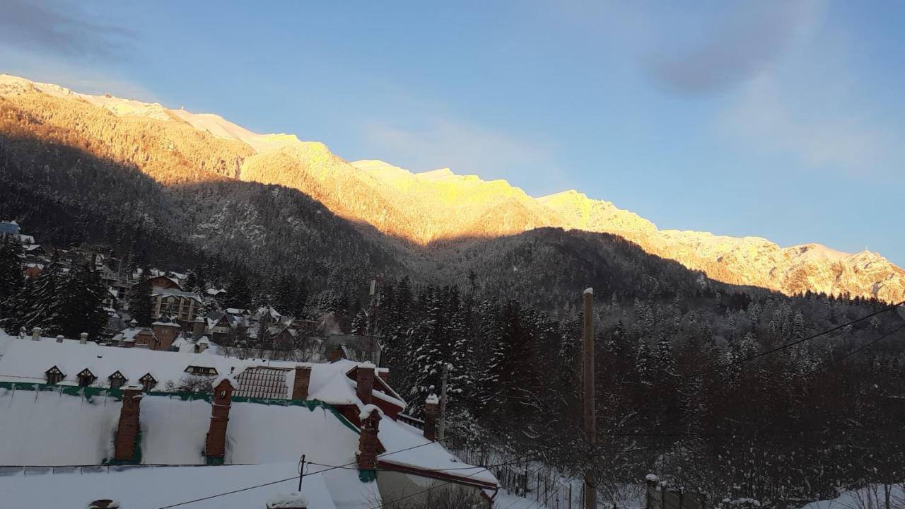 Pensiunea Floare De Colt Sinaia Exteriér fotografie
