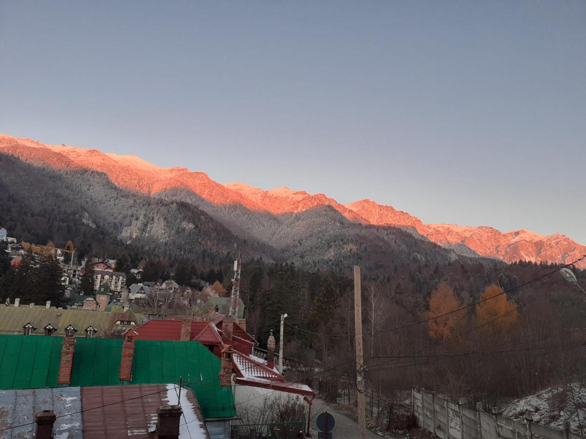 Pensiunea Floare De Colt Sinaia Exteriér fotografie