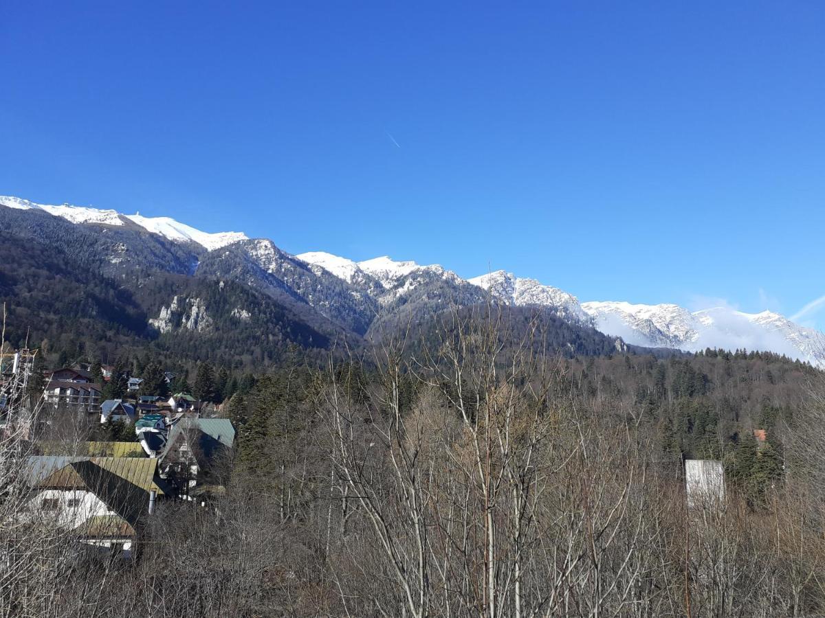 Pensiunea Floare De Colt Sinaia Exteriér fotografie