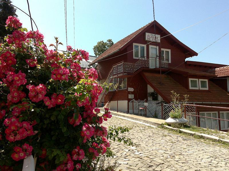 Pensiunea Floare De Colt Sinaia Exteriér fotografie